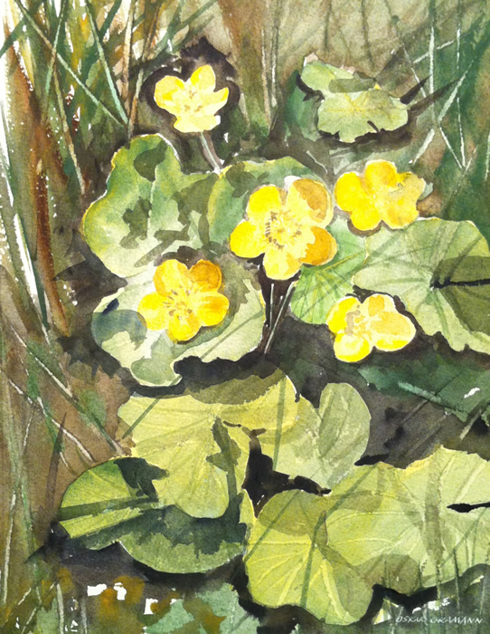 Oskar Gramann - Watercolour - Wild Flowers